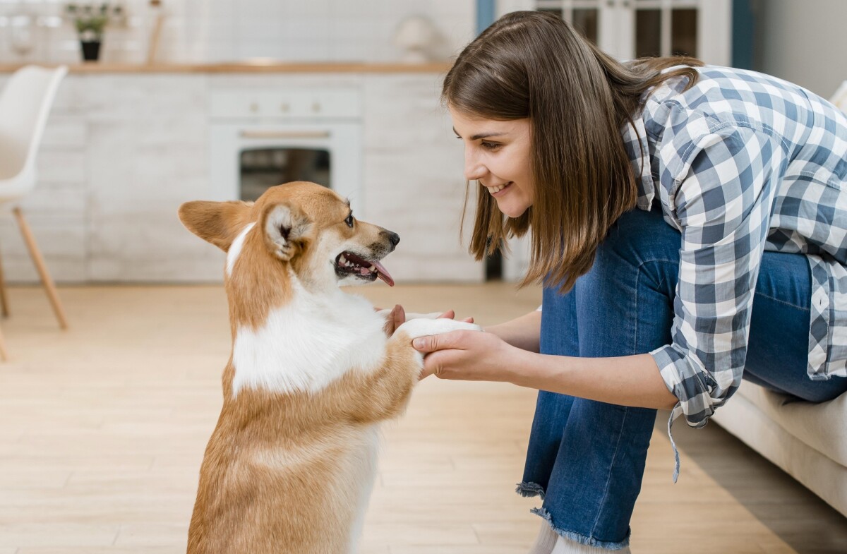 Por qué hablarle a las mascotas como personas mejora el bienestar emocional y lazos afectivos
