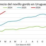 Frigoríficos buscan frenar la escalada de precios del ganado gordo