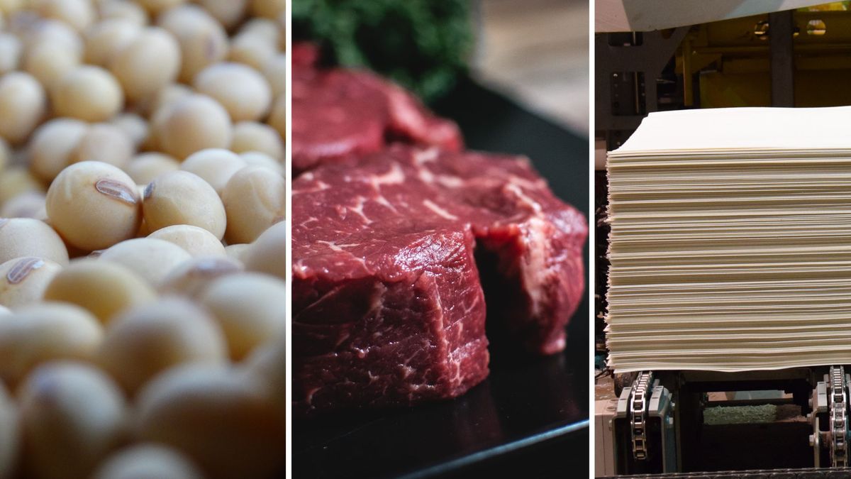 Clima adverso y precios: proyectan una disminución de las ventas al exterior en 2026